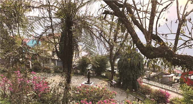 Travel (Sikkim 02_19)View flowers_680.jpg